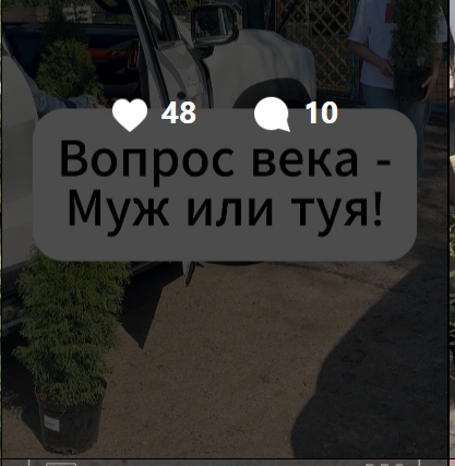 Скриншот Вопрос века: муж или туя?